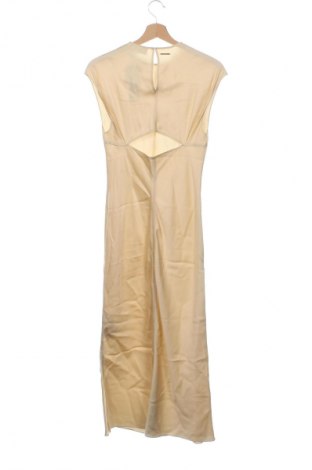 Kleid Calvin Klein, Größe XS, Farbe Beige, Preis 29,99 €