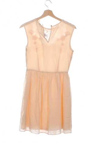 Šaty  Oasis, Velikost XS, Barva Béžová, Cena  109,00 Kč