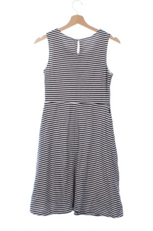 Φόρεμα Zero, Μέγεθος XS, Χρώμα Πολύχρωμο, Τιμή 3,99 €