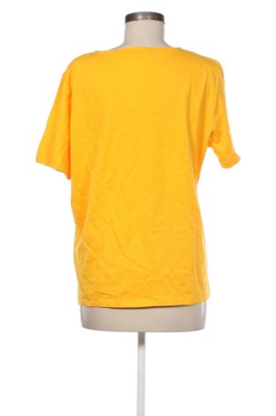 Γυναικεία μπλούζα Afibel, Μέγεθος XL, Χρώμα Κίτρινο, Τιμή 9,99 €