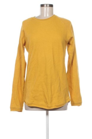 Damen Shirt Bershka, Größe M, Farbe Orange, Preis € 12,99