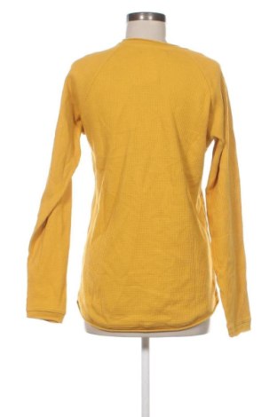 Damen Shirt Bershka, Größe M, Farbe Orange, Preis € 12,99