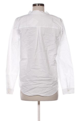 Dámska blúza Blue Motion, Veľkosť M, Farba Biela, Cena  11,95 €