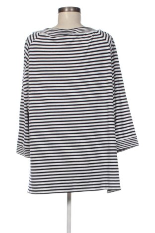 Dámska blúza Bonita, Veľkosť XXL, Farba Viacfarebná, Cena  6,84 €