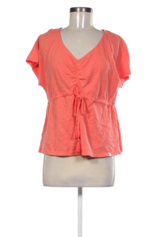 Γυναικεία μπλούζα Bonobo, Μέγεθος XS, Χρώμα Ρόζ , Τιμή 9,99 €