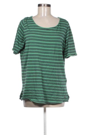 Damen Shirt Cecil, Größe L, Farbe Mehrfarbig, Preis 17,99 €