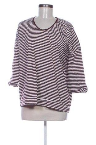 Damen Shirt Cecil, Größe XL, Farbe Mehrfarbig, Preis 22,99 €