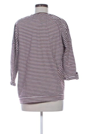 Damen Shirt Cecil, Größe XL, Farbe Mehrfarbig, Preis 22,99 €