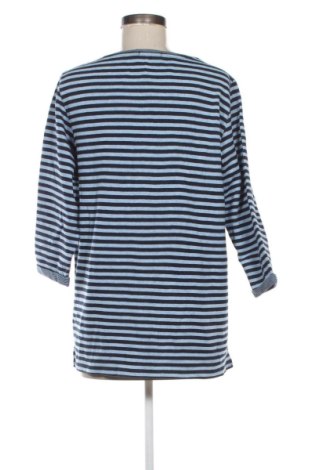 Damen Shirt Cecil, Größe L, Farbe Mehrfarbig, Preis 22,99 €