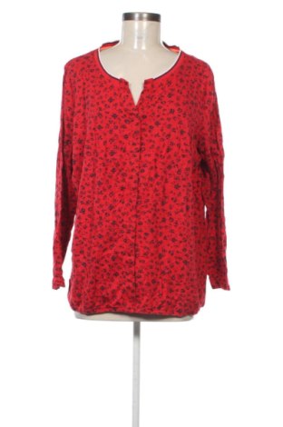 Damen Shirt Cecil, Größe XXL, Farbe Mehrfarbig, Preis € 22,99