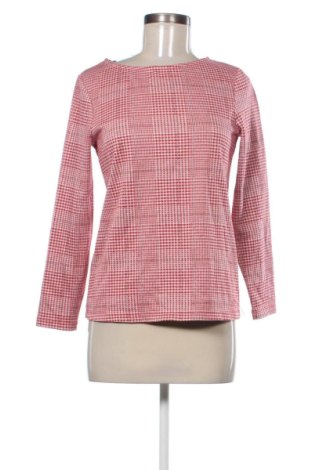 Damen Shirt Collection L, Größe S, Farbe Mehrfarbig, Preis € 10,00