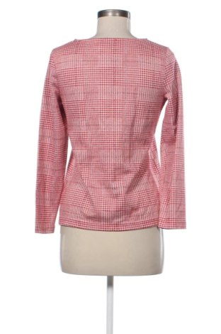 Damen Shirt Collection L, Größe S, Farbe Mehrfarbig, Preis € 10,00