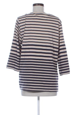 Дамска блуза Collection L, Размер XL, Цвят Многоцветен, Цена 10,22 €