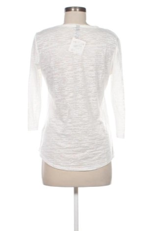 Damen Shirt Colours Of The World, Größe M, Farbe Weiß, Preis € 10,00