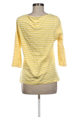 Damen Shirt Essentials by Tchibo, Größe M, Farbe Mehrfarbig, Preis 12,99 €