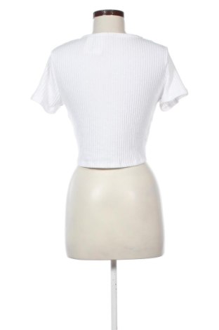 Damen Shirt Fb Sister, Größe XL, Farbe Weiß, Preis 12,99 €