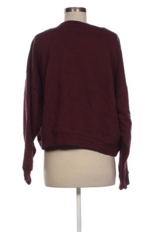 Damen Shirt Gap, Größe L, Farbe Rot, Preis 30,99 €