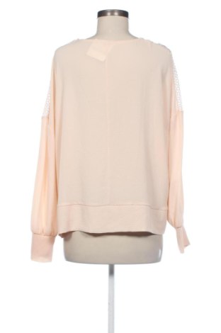 Bluzka damska Gaudi Jeans, Rozmiar L, Kolor Kolorowy, Cena 133,96 zł