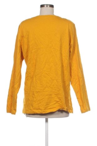 Γυναικεία μπλούζα Gina Benotti, Μέγεθος XXL, Χρώμα Πορτοκαλί, Τιμή 11,99 €