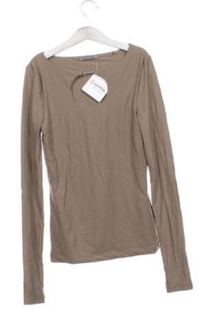 Damen Shirt Guess, Größe S, Farbe Braun, Preis 71,99 €