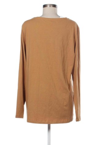 Damen Shirt Janina, Größe XXL, Farbe Braun, Preis € 10,00