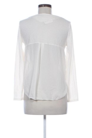 Γυναικεία μπλούζα NEW COLLECTION, Μέγεθος M, Χρώμα Εκρού, Τιμή 20,99 €