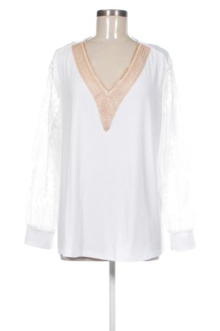 Damen Shirt SHEIN, Größe XXL, Farbe Weiß, Preis € 12,99