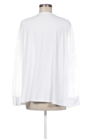 Damen Shirt SHEIN, Größe XXL, Farbe Weiß, Preis € 12,99