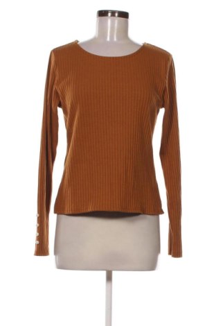 Damen Shirt Temt, Größe XL, Farbe Braun, Preis 12,99 €