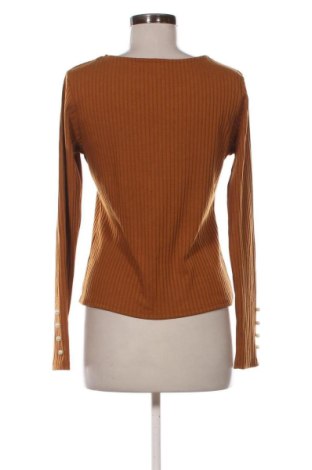 Damen Shirt Temt, Größe XL, Farbe Braun, Preis 12,99 €