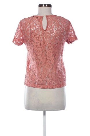 Γυναικεία μπλούζα Terranova, Μέγεθος S, Χρώμα Σάπιο μήλο, Τιμή 11,99 €