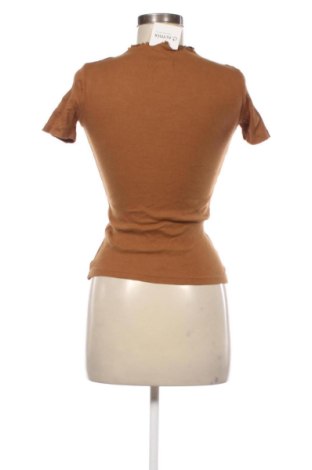 Dámska blúza Terranova, Veľkosť XS, Farba Hnedá, Cena  11,95 €