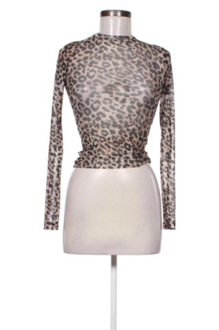 Damen Shirt Terranova, Größe XS, Farbe Mehrfarbig, Preis 18,41 €