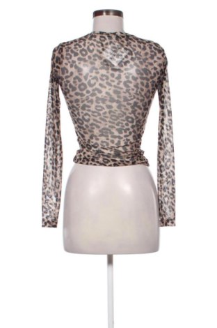 Damen Shirt Terranova, Größe XS, Farbe Mehrfarbig, Preis 18,41 €