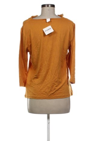 Damen Shirt Unbranded, Größe M, Farbe Braun, Preis 12,99 €