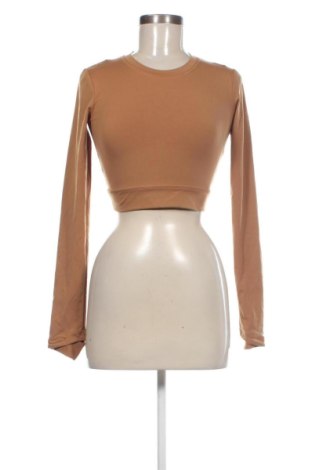 Damen Shirt Unbranded, Größe XS, Farbe Braun, Preis € 15,99