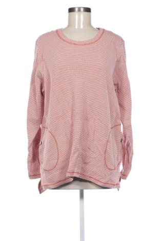 Γυναικεία μπλούζα Yarra trail, Μέγεθος XL, Χρώμα Πολύχρωμο, Τιμή 8,99 €