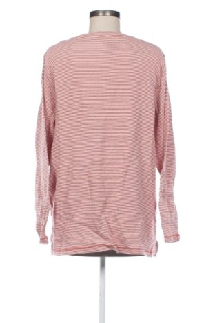 Γυναικεία μπλούζα Yarra trail, Μέγεθος XL, Χρώμα Πολύχρωμο, Τιμή 8,99 €