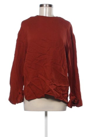 Γυναικεία μπλούζα Zara, Μέγεθος M, Χρώμα Καφέ, Τιμή 9,99 €