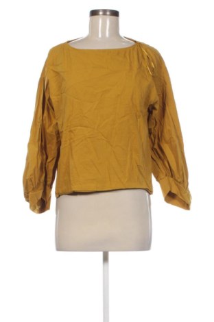 Damen Shirt Zara, Größe L, Farbe Braun, Preis 13,99 €