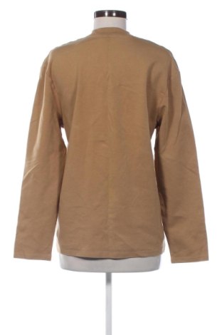 Γυναικεία μπλούζα Zara, Μέγεθος S, Χρώμα Καφέ, Τιμή 13,81 €