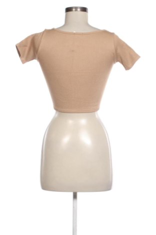 Γυναικεία μπλούζα Zara, Μέγεθος XS, Χρώμα Καφέ, Τιμή 12,99 €