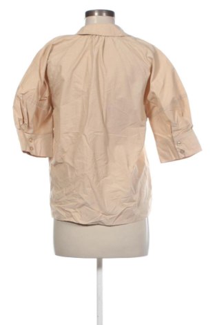 Damen Shirt Zara, Größe M, Farbe Beige, Preis € 13,99