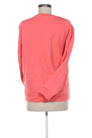 Damen Shirt Zara, Größe XL, Farbe Rosa, Preis 17,99 €