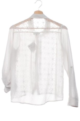 Damska koszula Abercrombie & Fitch, Rozmiar XS, Kolor Szary, Cena 112,53 zł