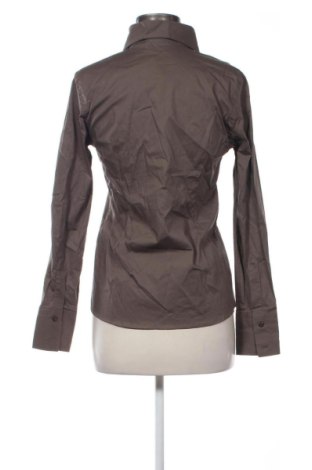 Damenbluse Alegria, Größe L, Farbe Braun, Preis € 16,99