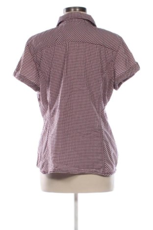 Damska koszula Cecil, Rozmiar XL, Kolor Kolorowy, Cena 91,99 zł