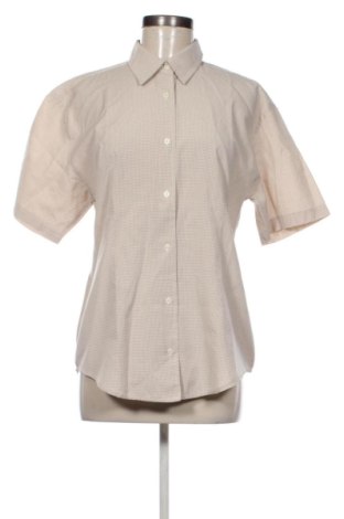 Damenbluse Colours Of The World, Größe XL, Farbe Mehrfarbig, Preis € 12,78