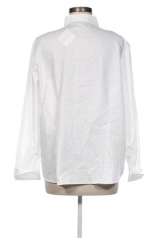 Damenbluse Eterna, Größe XL, Farbe Weiß, Preis 36,99 €