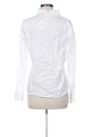 Damenbluse Eterna, Größe L, Farbe Weiß, Preis € 36,99